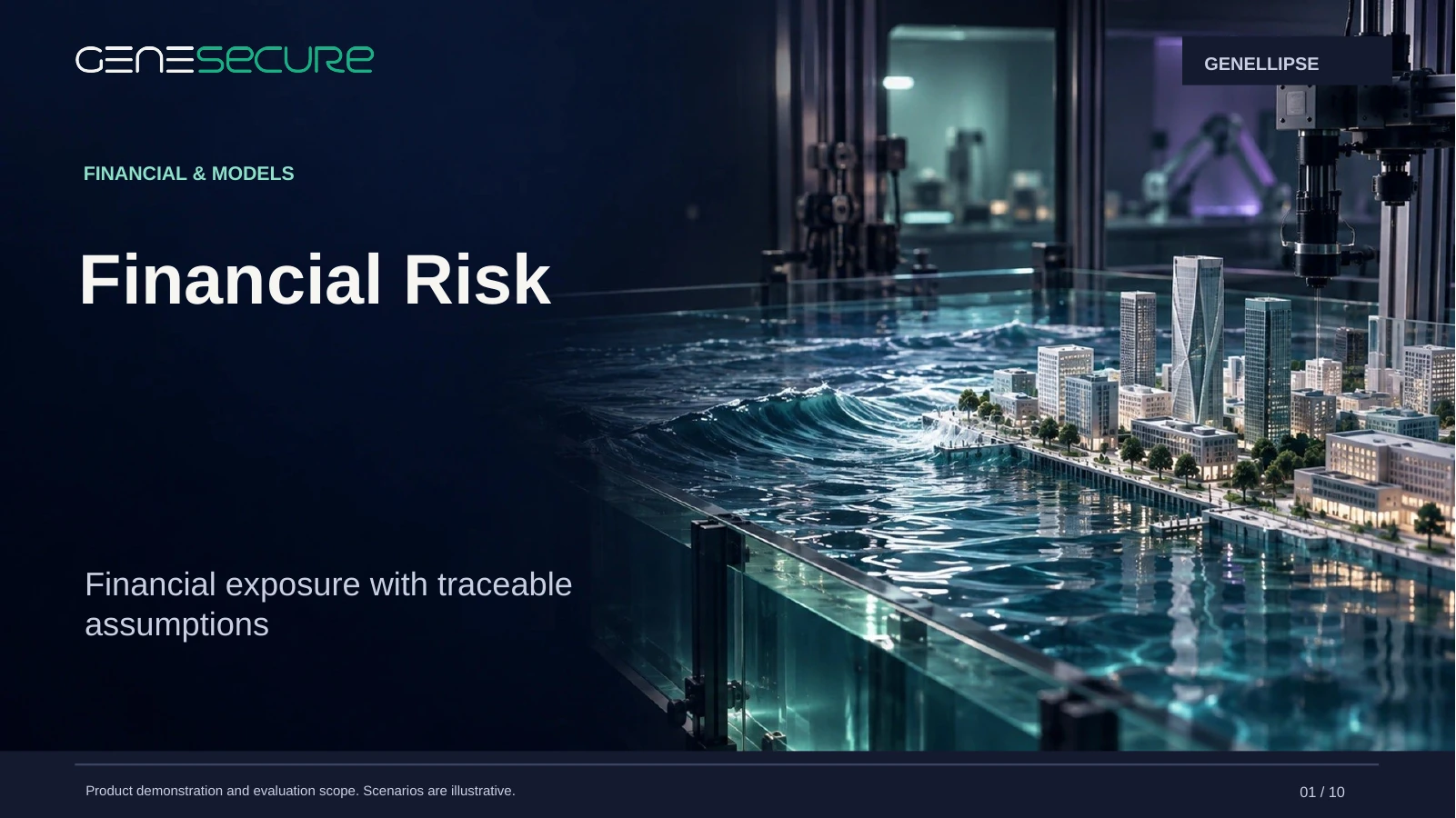 Financial Risk presentation cover